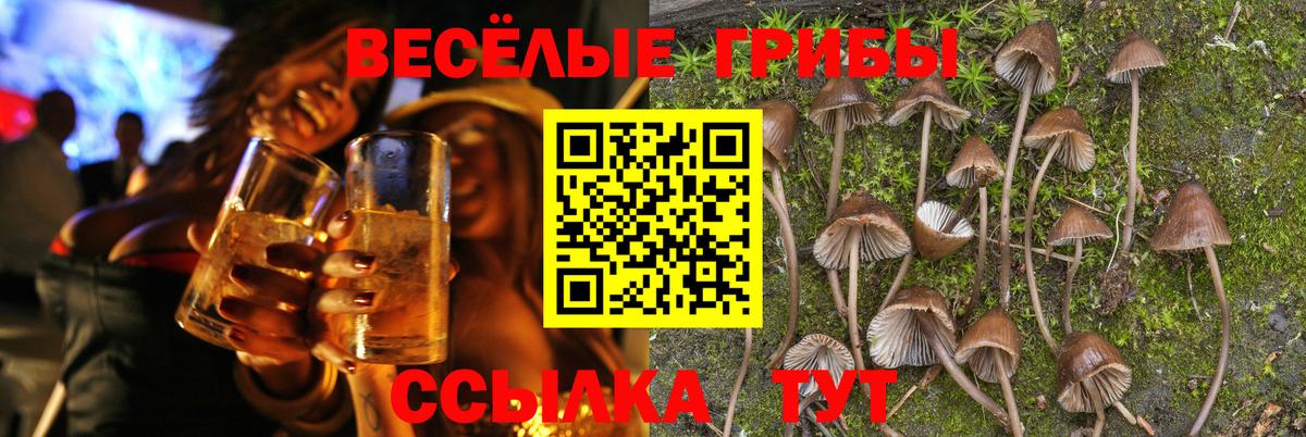 Галлюциногенные грибы Magic Shrooms Александров