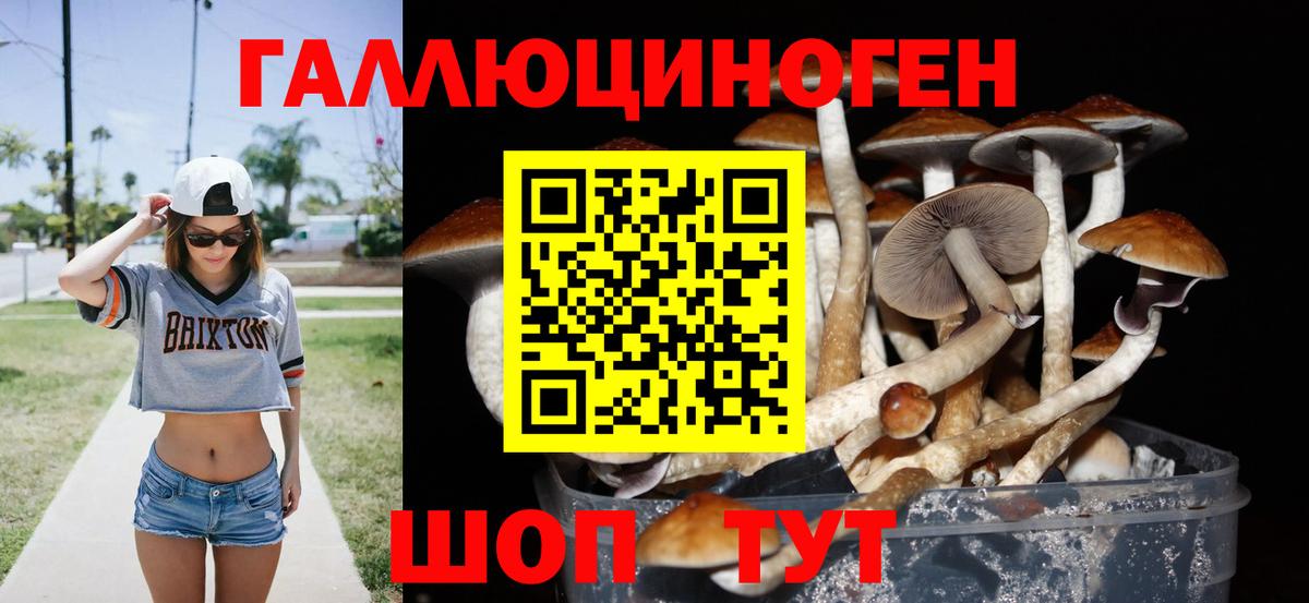 Галлюциногенные грибы ЛСД  продажа наркотиков  Александров  Псилоцибиновые грибы мицелий  Вход с VPN 